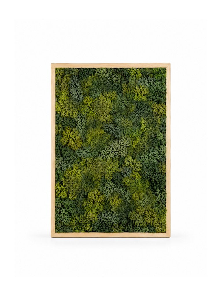 mosschilderij handgemaakt, Ophalen, Eigen ontwerp, Groen, Schilderij