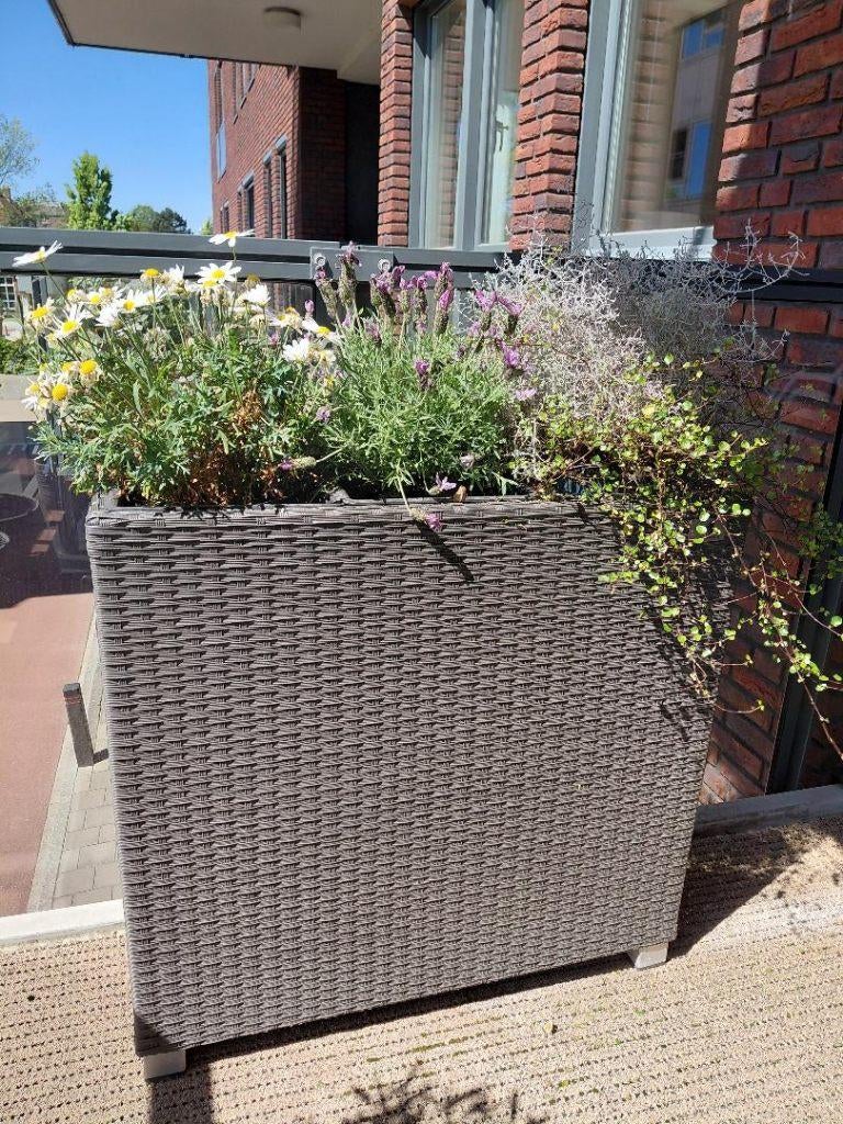 Twee maal Gartenfreude plantenbak, grijs ---zgan, Ophalen, Kunststof, Zo goed als nieuw, 60 tot 100 cm