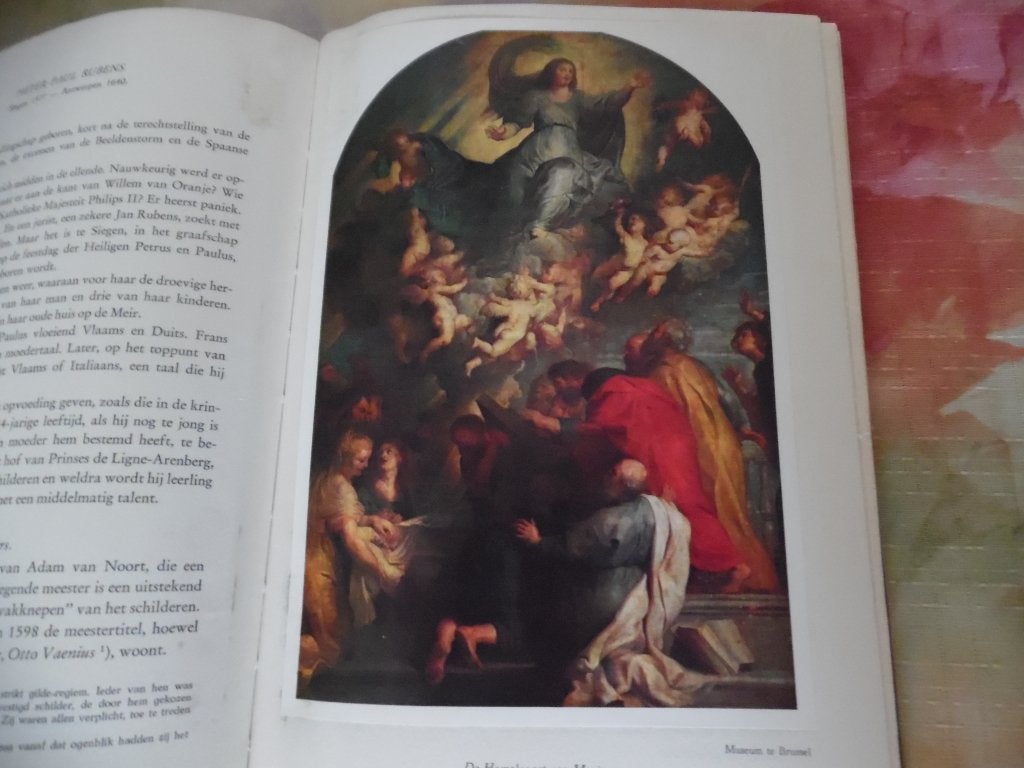 Vlaamsche Schilderkunst in de XVIIe eeuw, vol albumplaatjes, Boeken, Ophalen of Verzenden, Gelezen, Schilder- en Tekenkunst