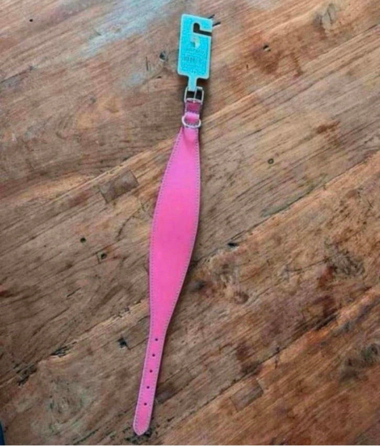 Nieuwe Whippet Galgo halsband kleur roze fuchsia windhond, Ophalen, Nieuw