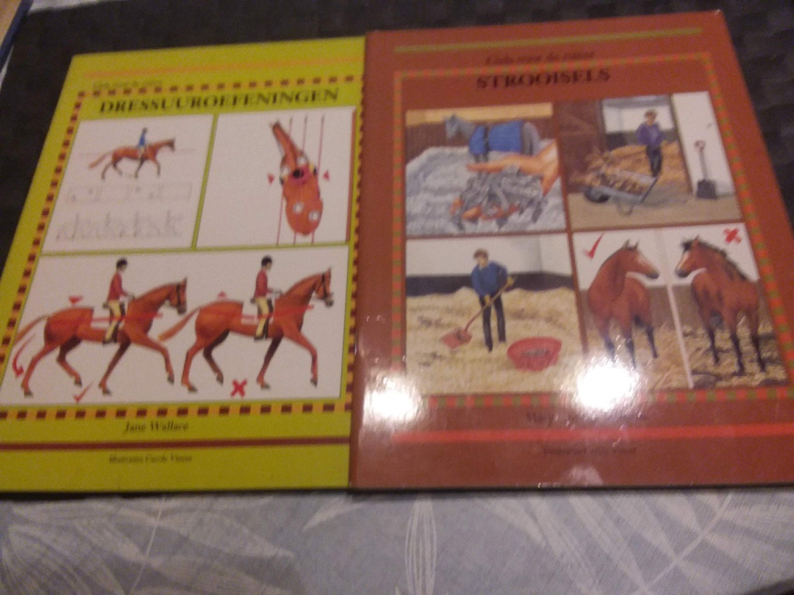 gids voor de ruiter, Boeken, Ophalen of Verzenden, Zo goed als nieuw, Paarden of Pony's