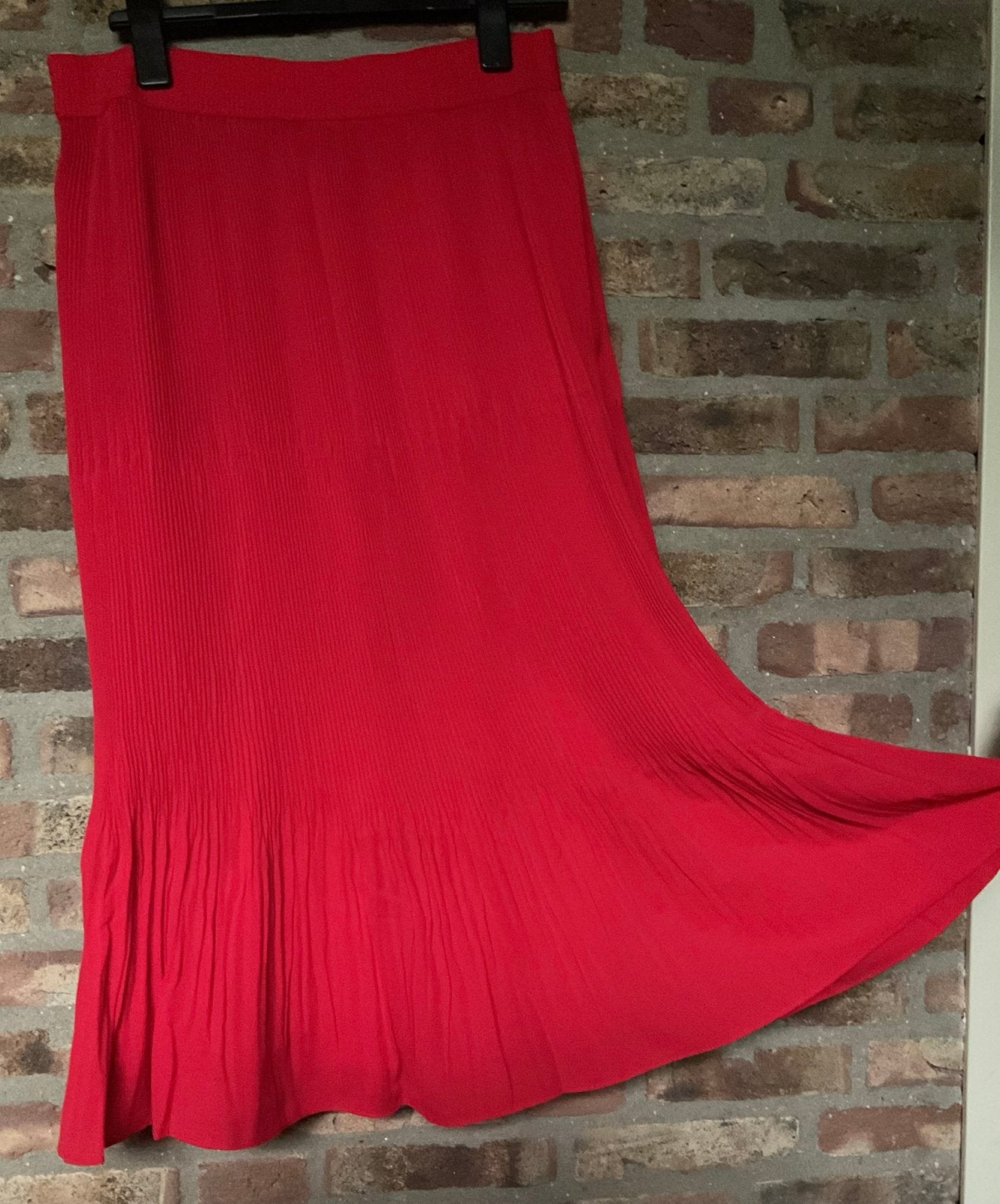 Nieuw! Prachtige plissee rok rood, wijd en apart. Gevoerd 44, Kleding | Dames, Rokken, Maat 42/44 (L), Nieuw, Ophalen of Verzenden