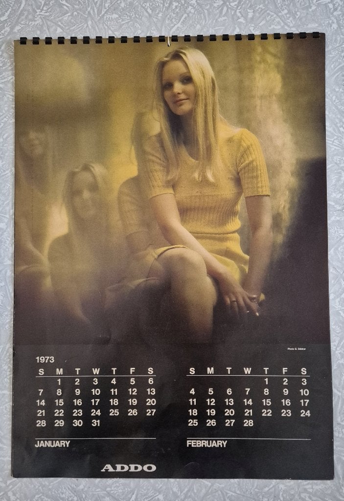Vintage kalender uit 1973. In goede staat., Diversen, Ophalen of Verzenden, Maandkalender, Gebruikt