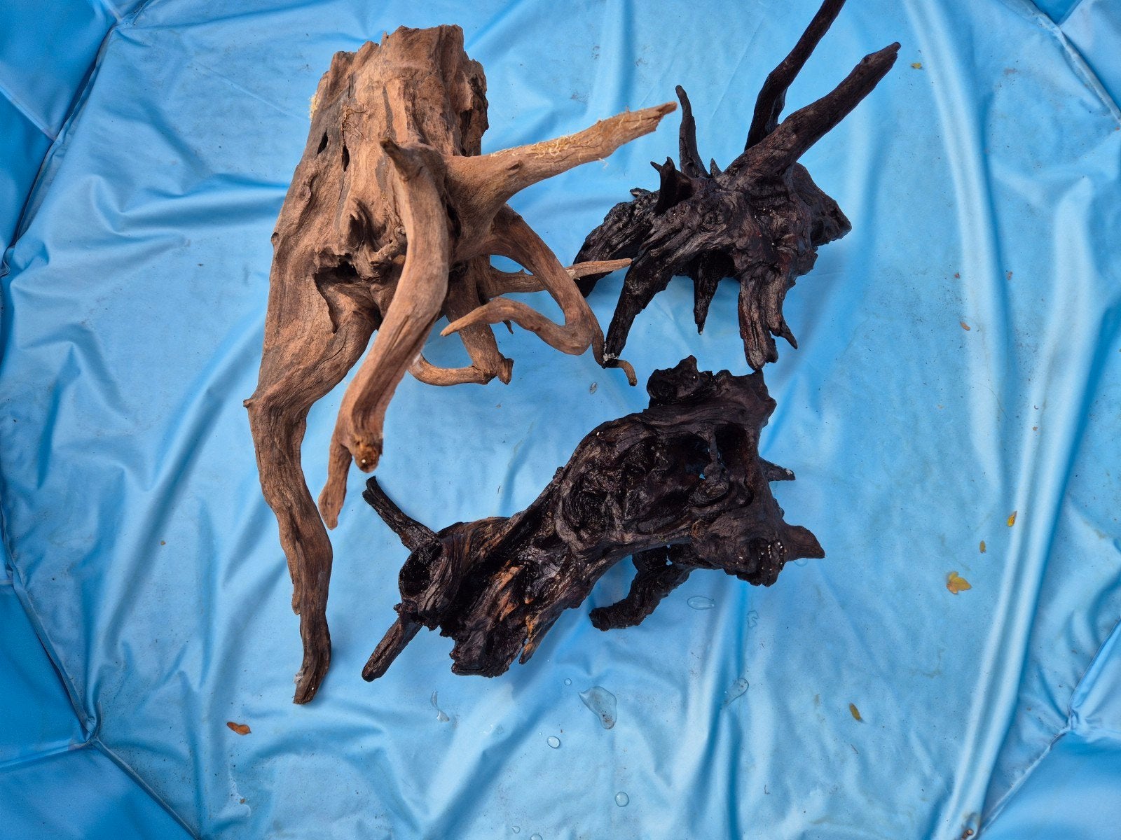 Aquarium hout, Ophalen, Gebruikt, Plant(en), Steen of Hout