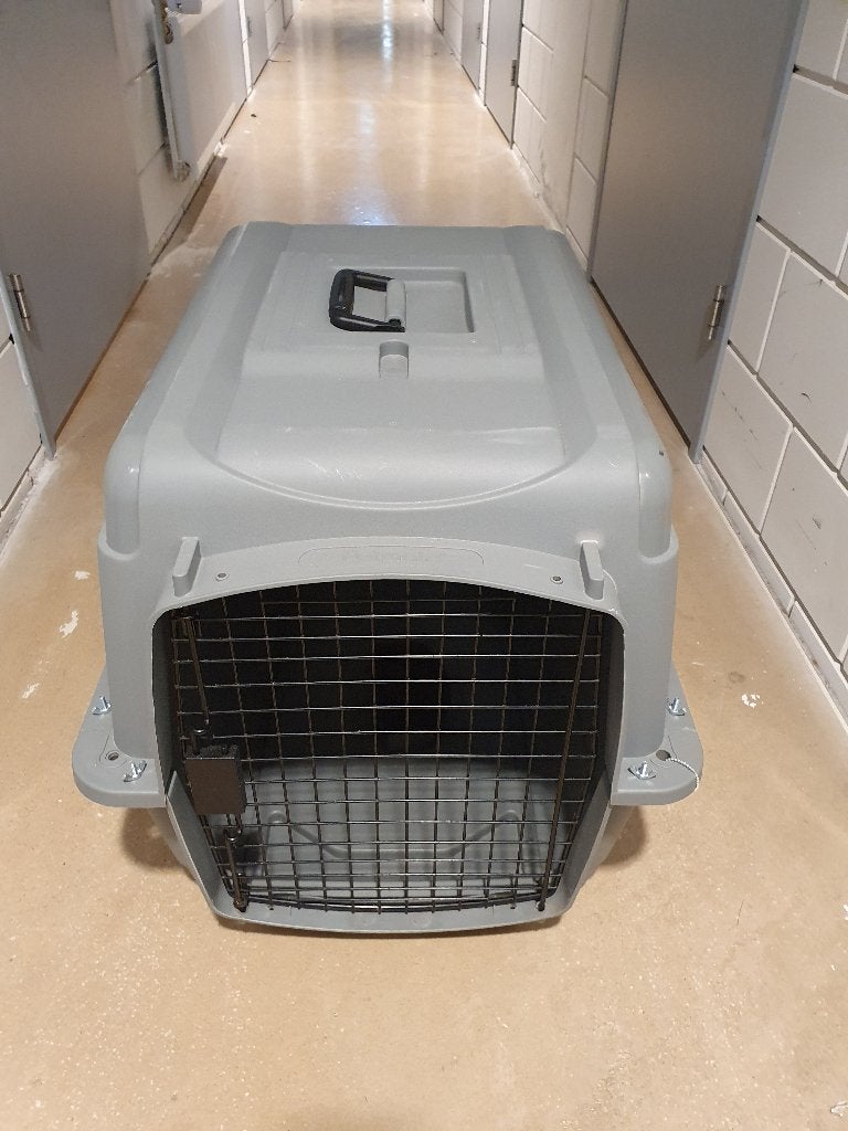 Petmate Sky Kennel, Dieren en Toebehoren, Ophalen, Zo goed als nieuw