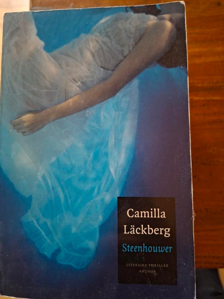 Camilla Läckberg - Steenhouwer (Literaire thriller), Ophalen of Verzenden, Gelezen, Camilla Läckberg, Scandinavië