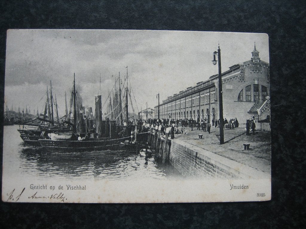 IJMUIDEN gezicht op vischhal 1906, Verzamelen, Ansichtkaarten | Nederland, Ophalen of Verzenden, Voor 1920, Noord-Holland