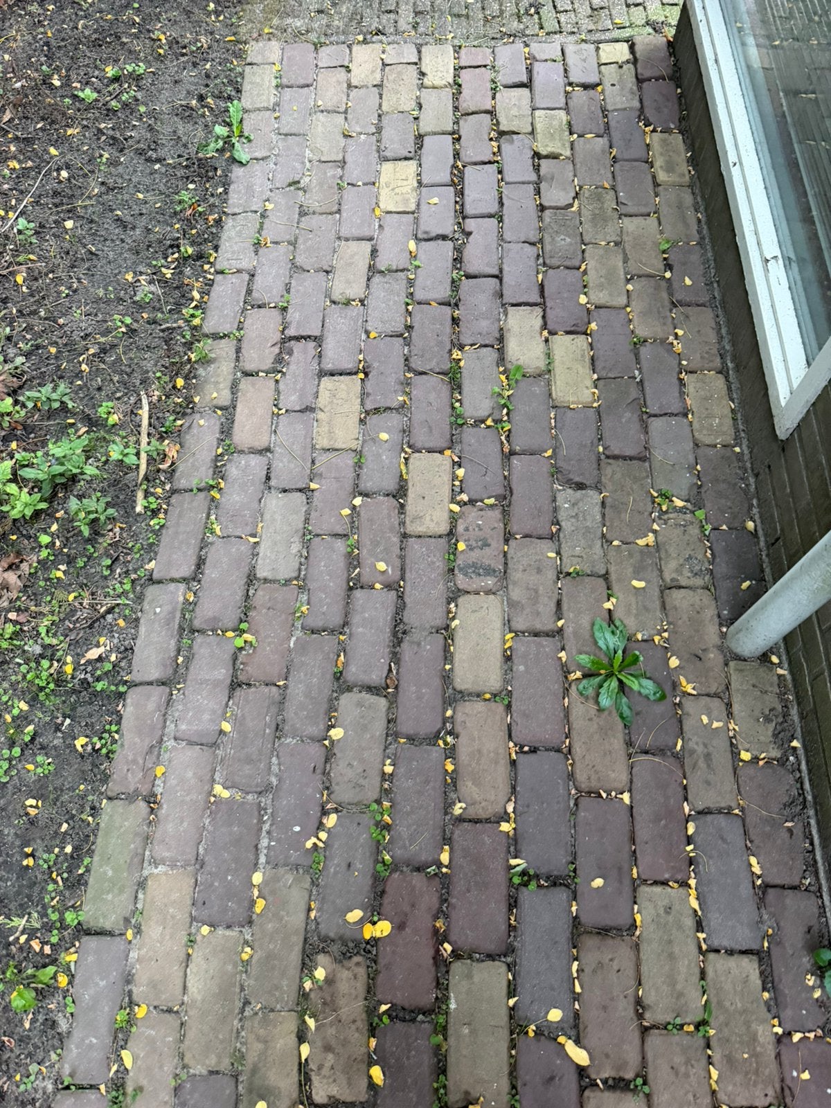 95 m2 klinkers, Ophalen, Gebruikt, Beton, Klinkers