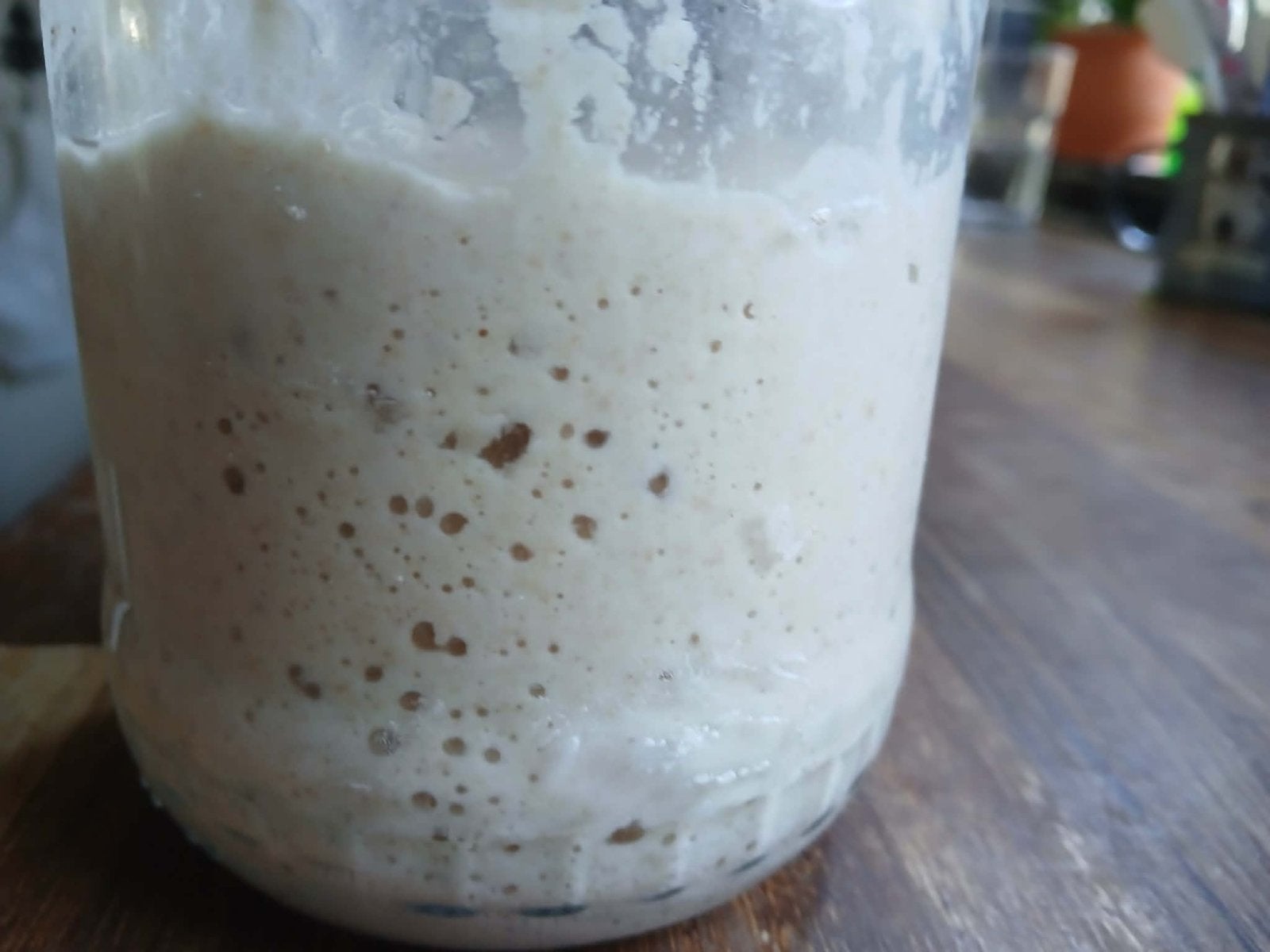 Actieve Zuurdesem Starter - Bak je eigen heerlijke brood!, Beige, Overige typen, Nieuw, Ophalen of Verzenden