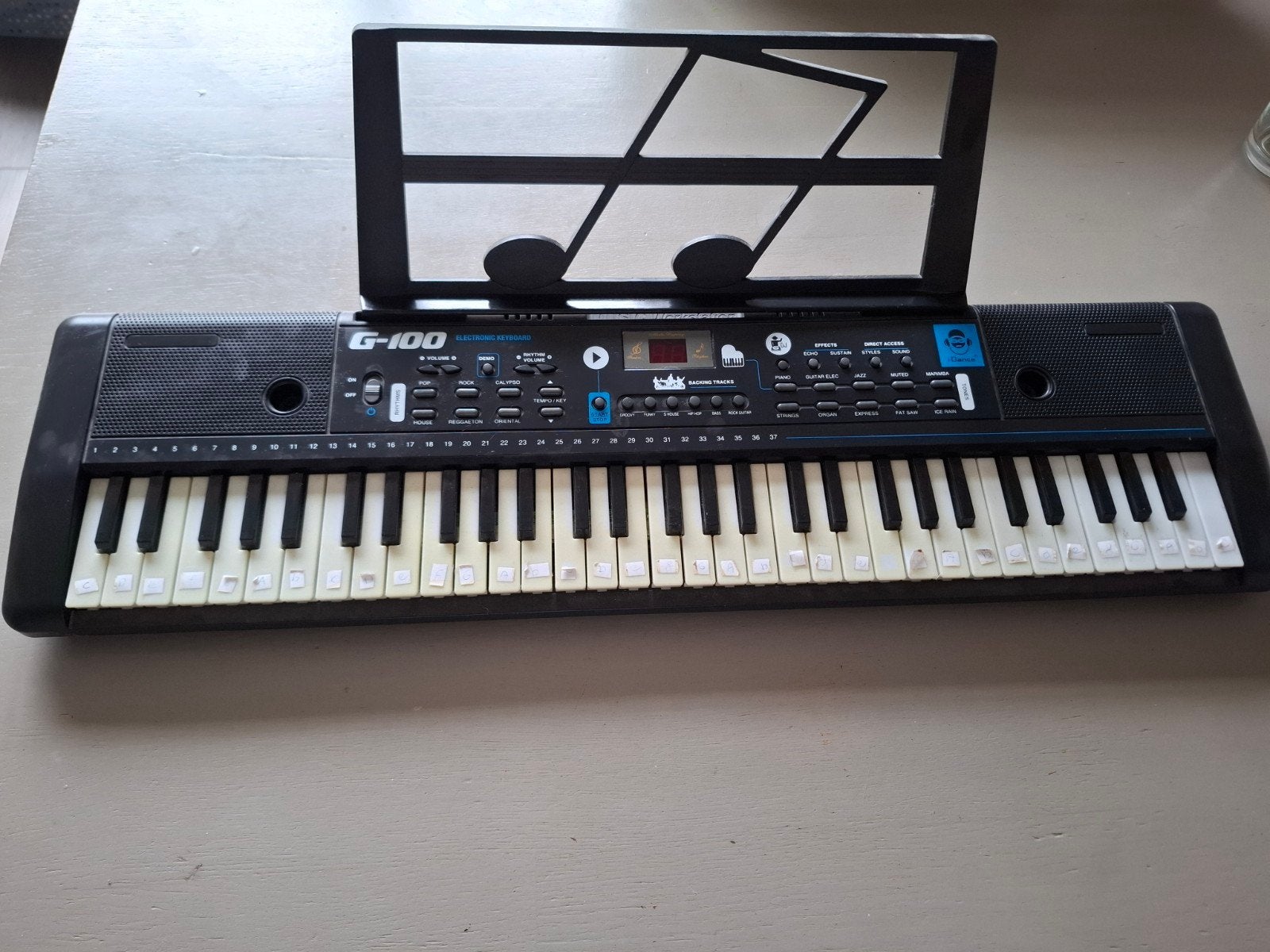 Elektronisch keyboard G-100 met 49 toetsen, Ophalen, Gebruikt, 49 toetsen, Overige merken