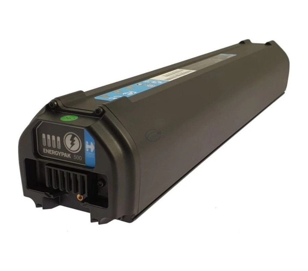 E-bike Accu Giant (integrated, o.a Dailytour / anytour), Verzenden, Nieuw