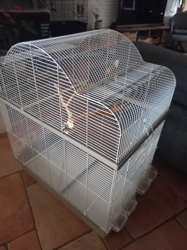 Vogelkooi XXL/volière als nieuw!, Ophalen, Zo goed als nieuw, Metaal, Vogelkooi