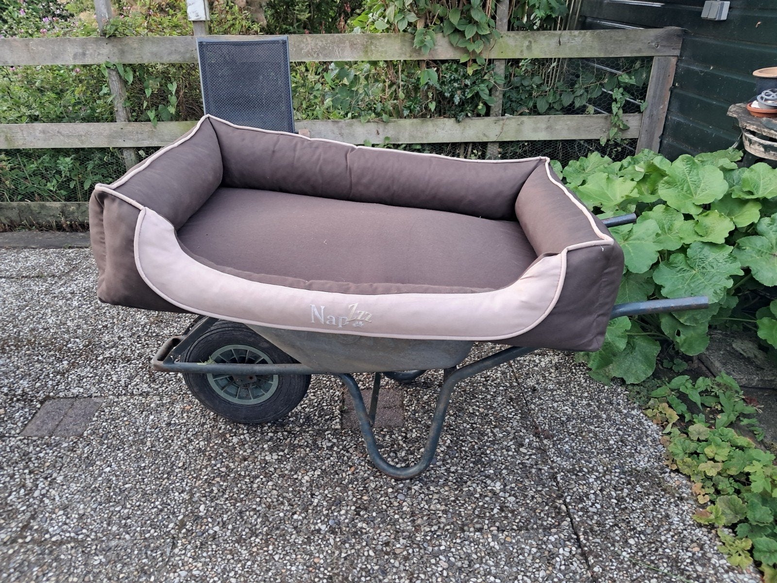 Hondenmand XXL 120CM82CM, Ophalen, Zo goed als nieuw, Katoen