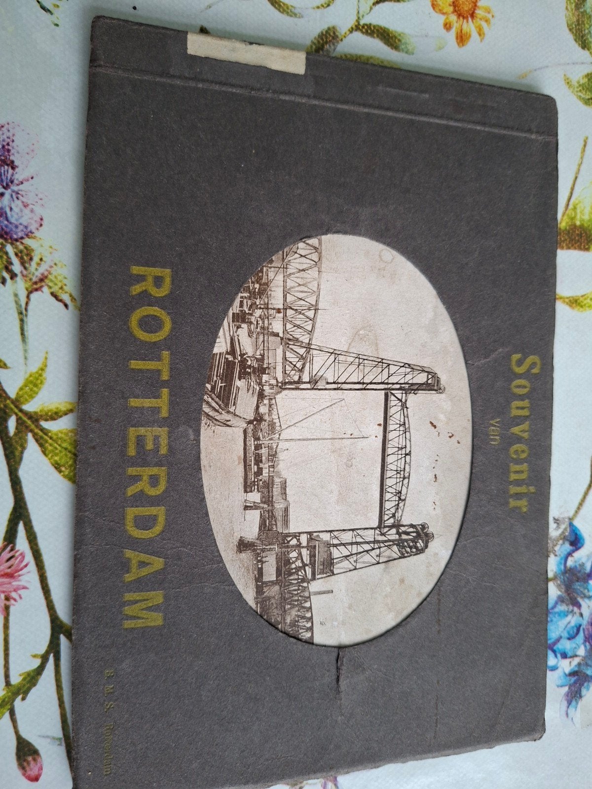 Souvenir van Rotterdam - Historische Fotoboek, Ophalen of Verzenden, Voor 1920, Gelopen, Zuid-Holland