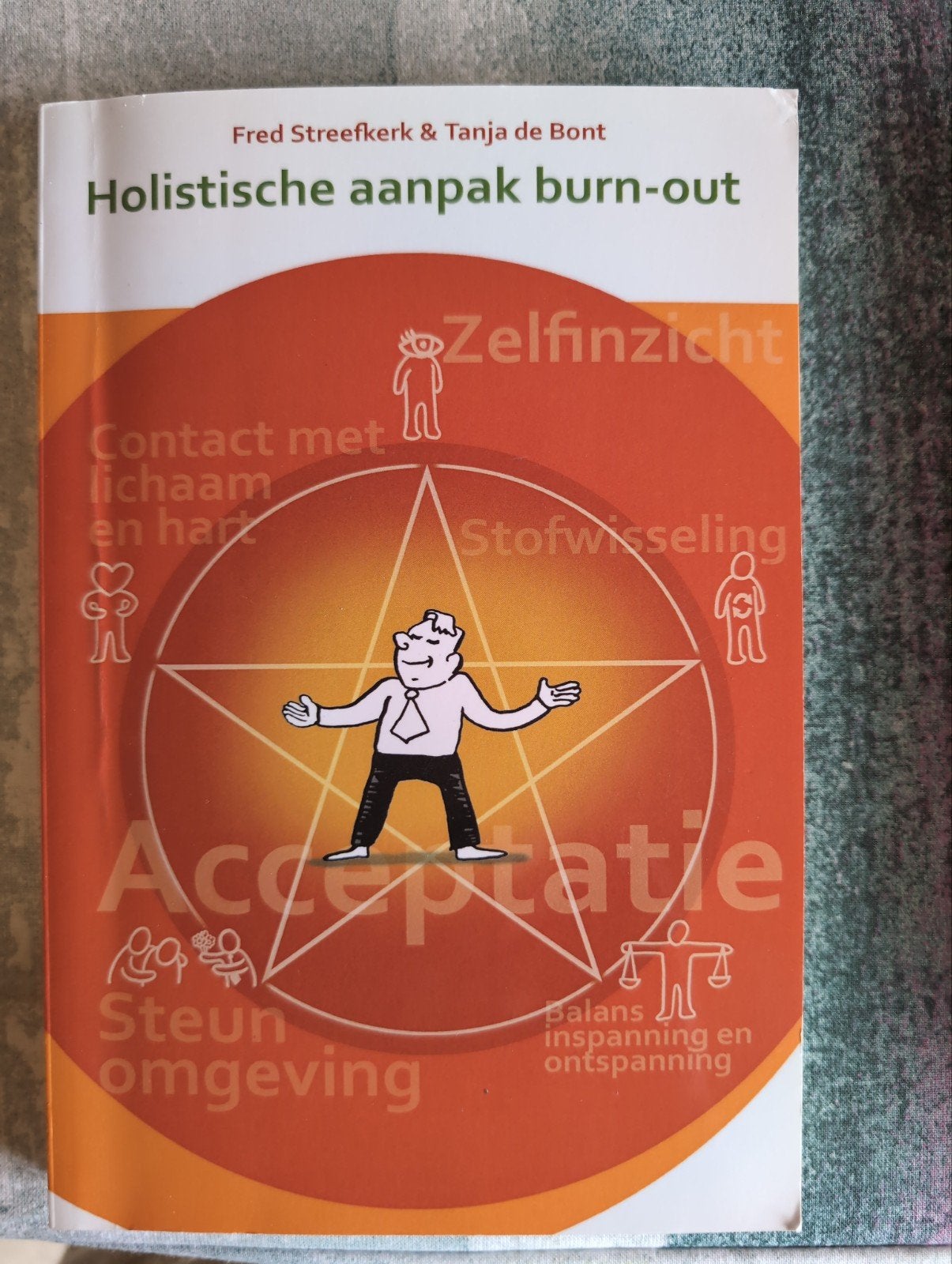 Tanja de Bont - Holistische aanpak burn-out, Boeken, Sociale psychologie, Ophalen of Verzenden, Zo goed als nieuw, Tanja de Bont; Fred Streefkerk