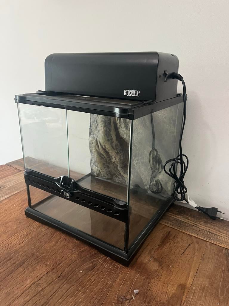 Exo Terra Terrarium 30x30x30 inclusief verlichting/topkap, Dieren en Toebehoren, Ophalen of Verzenden, Zo goed als nieuw, Leeg aquarium