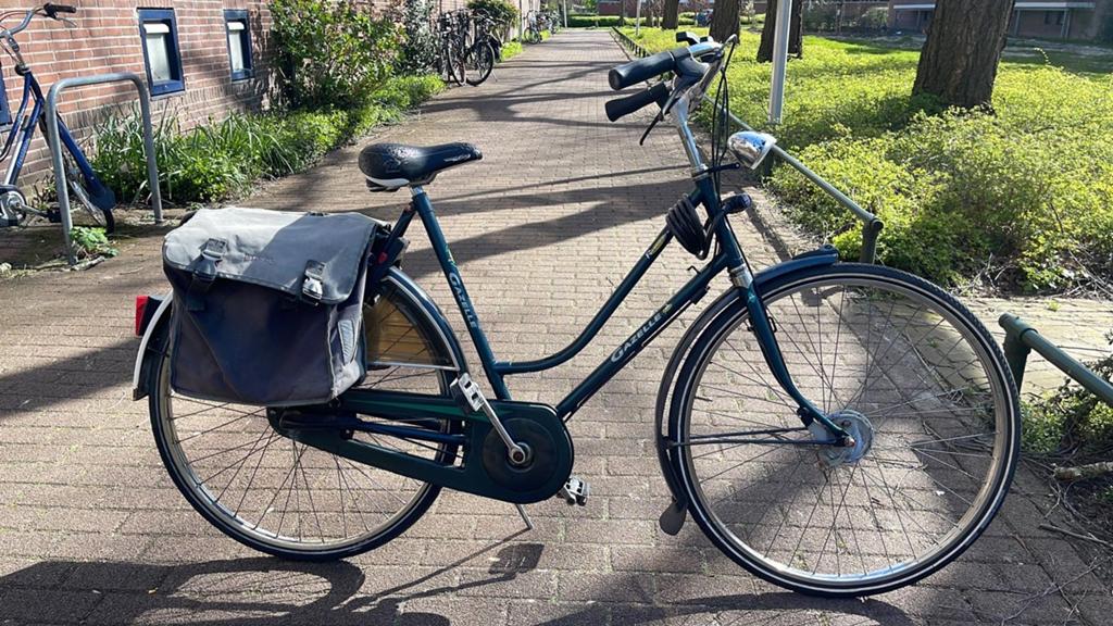 Gazelle damesfiets met fietstassen, Ophalen, Velgrem, Versnellingen, Gazelle