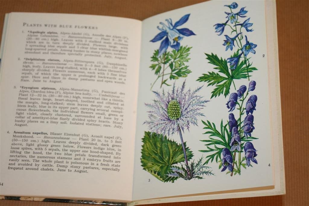 Alpine flowers - Walter Rytz, Boeken, Natuur, Ophalen of Verzenden, Gelezen, Vogels