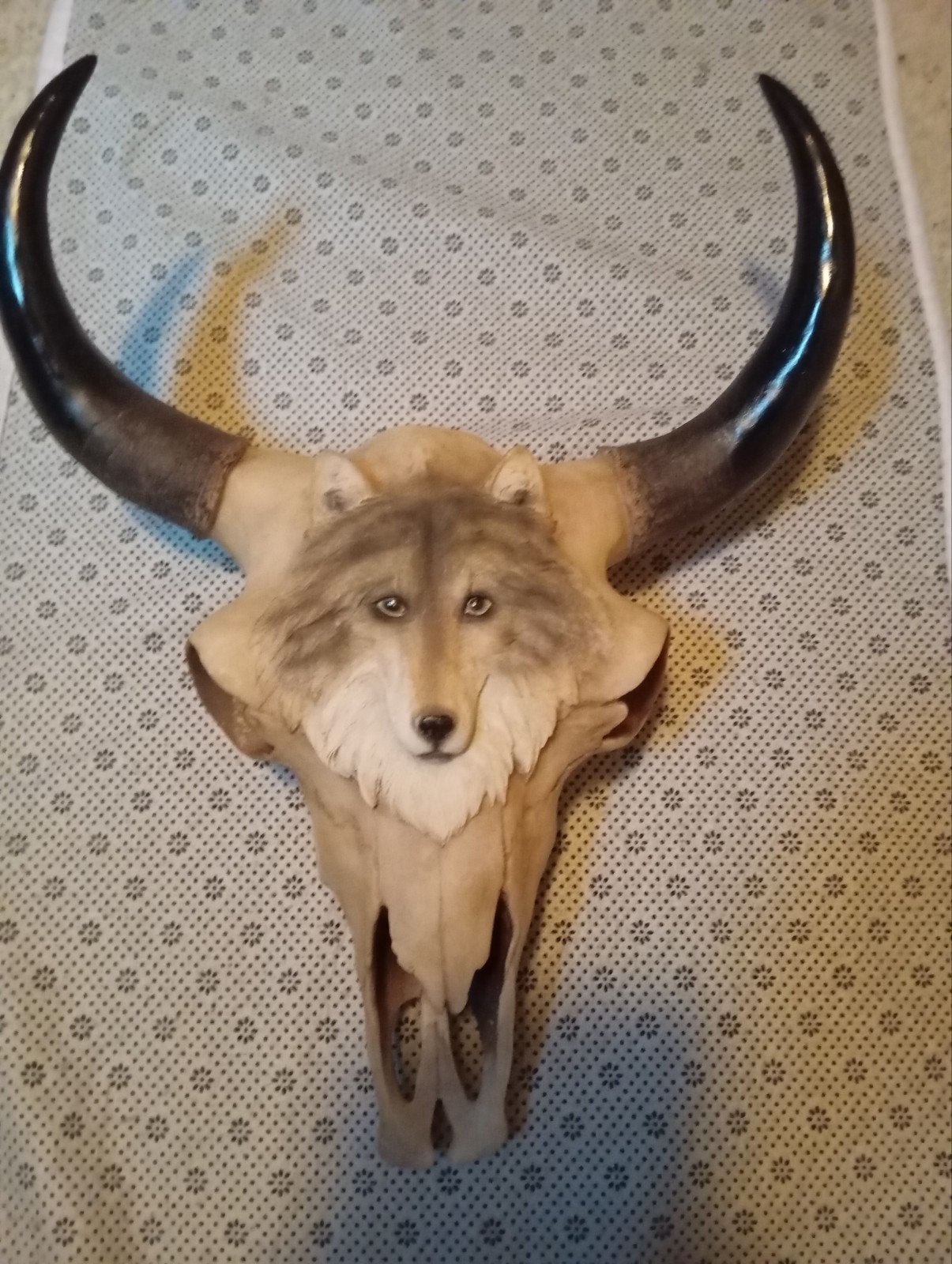 Schedel met wolf versierd - Uniek decoratiestuk, Verzamelen, Dierenverzamelingen, Ophalen, Gebruikt, Overige soorten, Schedel