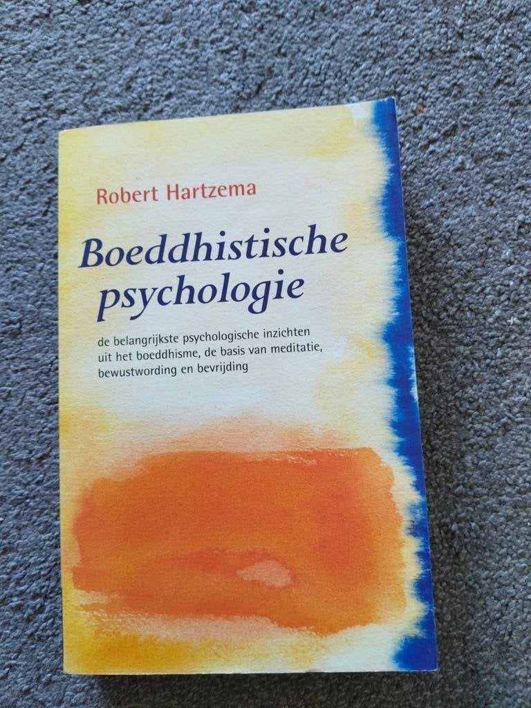 Boeddhistische Psychologie - Robert Hartzema, Robert Hartzema, Ophalen of Verzenden, Zo goed als nieuw, Overige onderwerpen