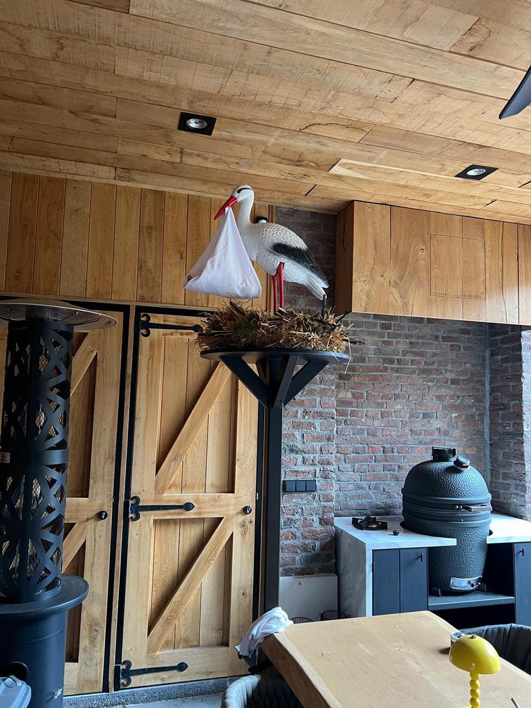 Ooievaar met baby op nest GEBOORTE, Kinderen en Baby's, Ophalen, Zo goed als nieuw, Geboortebord
