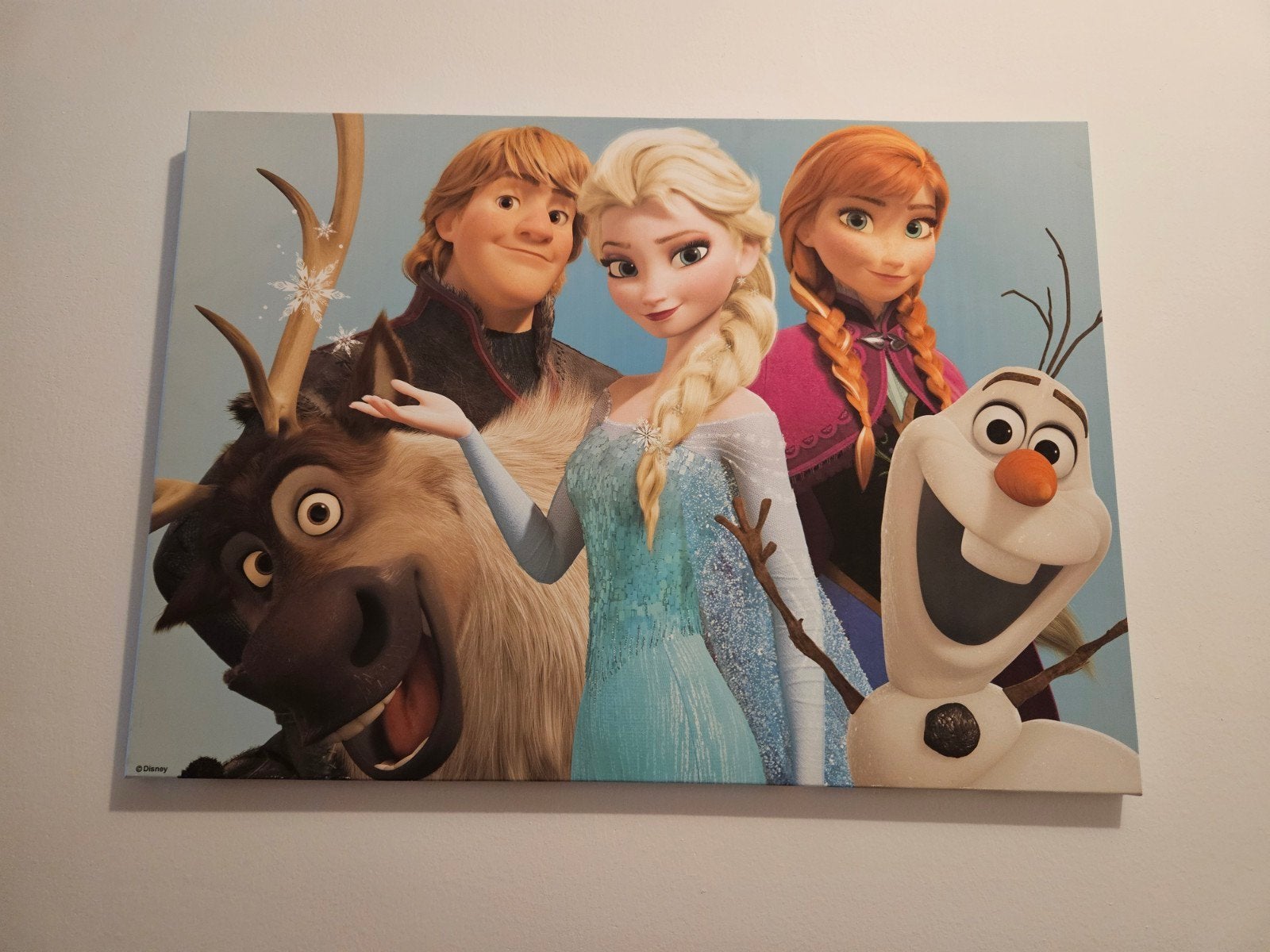 Frozen Canvas Schilderij - Elsa, Anna, Kristoff, Sven, Olaf, Ophalen, 50 – 75, Zo goed als nieuw, Schilderij
