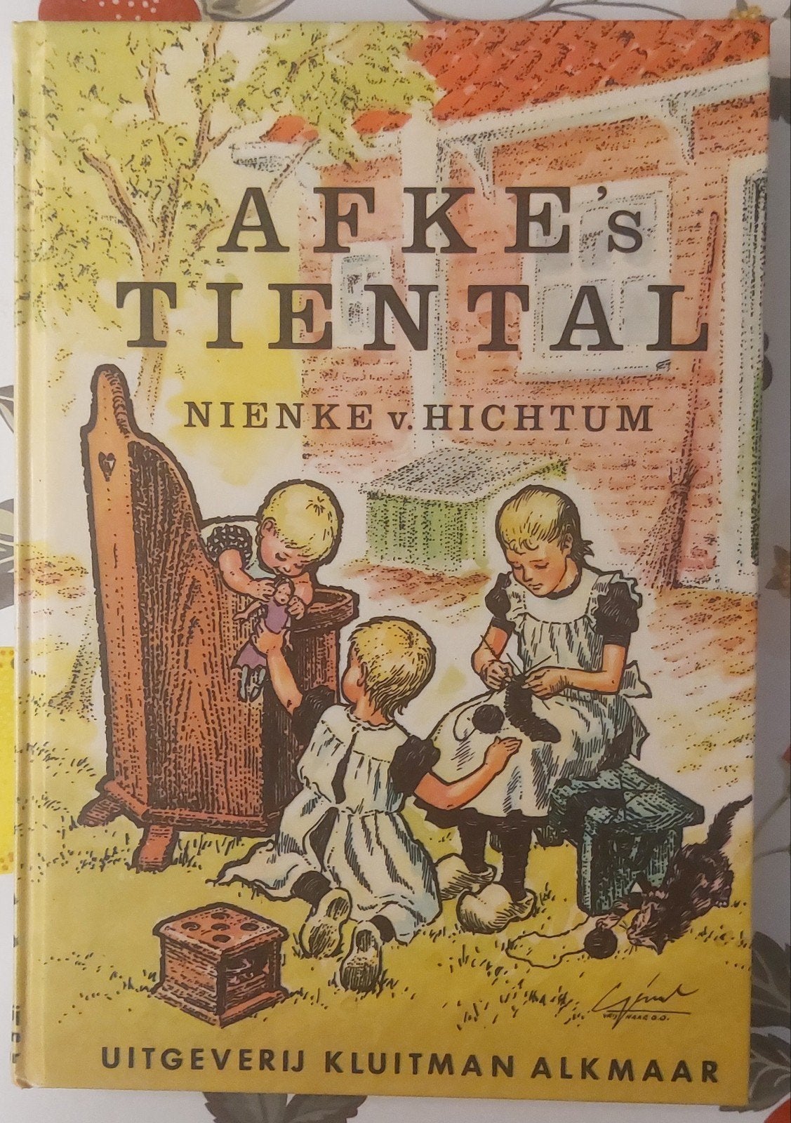 Afke's Tiental - Nienke van Hichtum, Ophalen of Verzenden, Gelezen, Nienke van Hichtum, Fictie algemeen