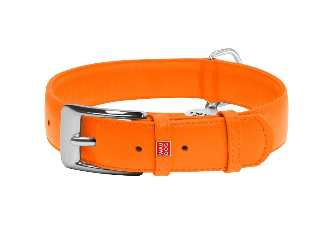 WAUDOG Glamour Halsband Leder Oranje XL Nek 46-60 cm KOOPJE!, Ophalen of Verzenden, Handgemaakt, Nieuw
