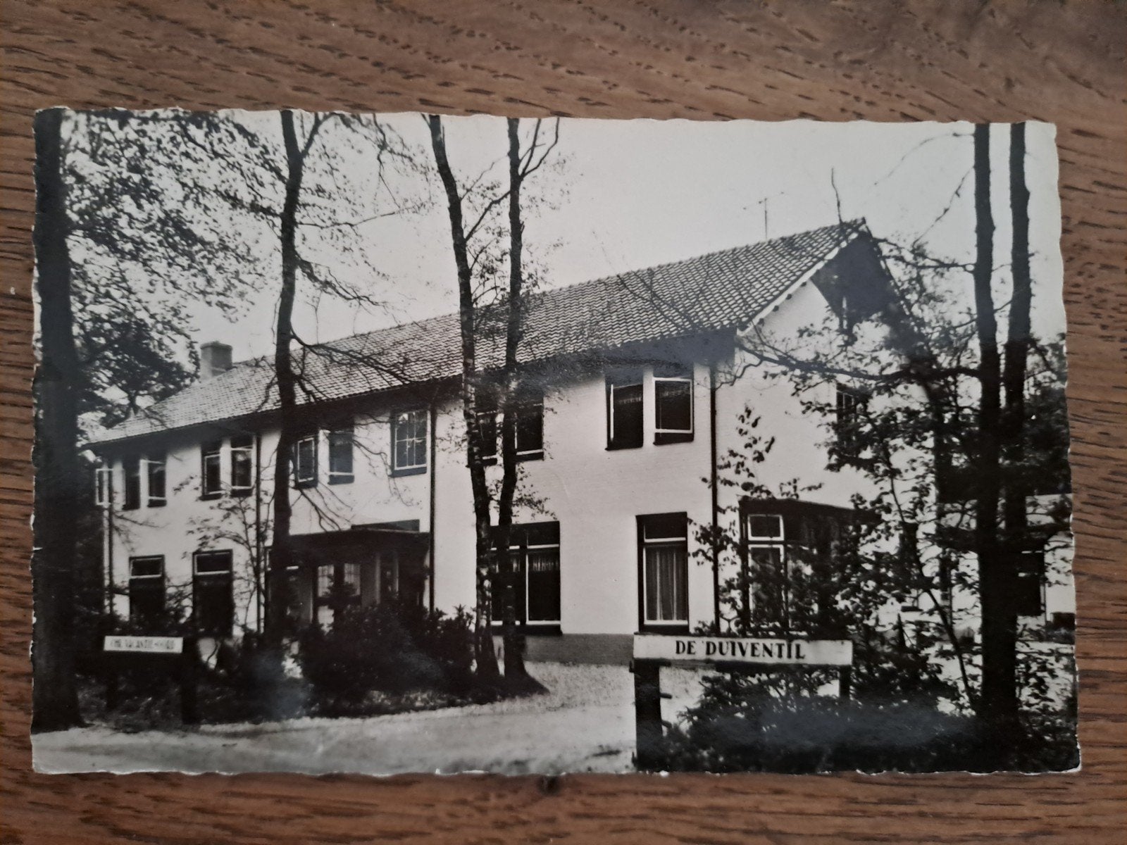 Nunspeet,  de duiventil, Ophalen of Verzenden, 1940 tot 1960, Gelderland