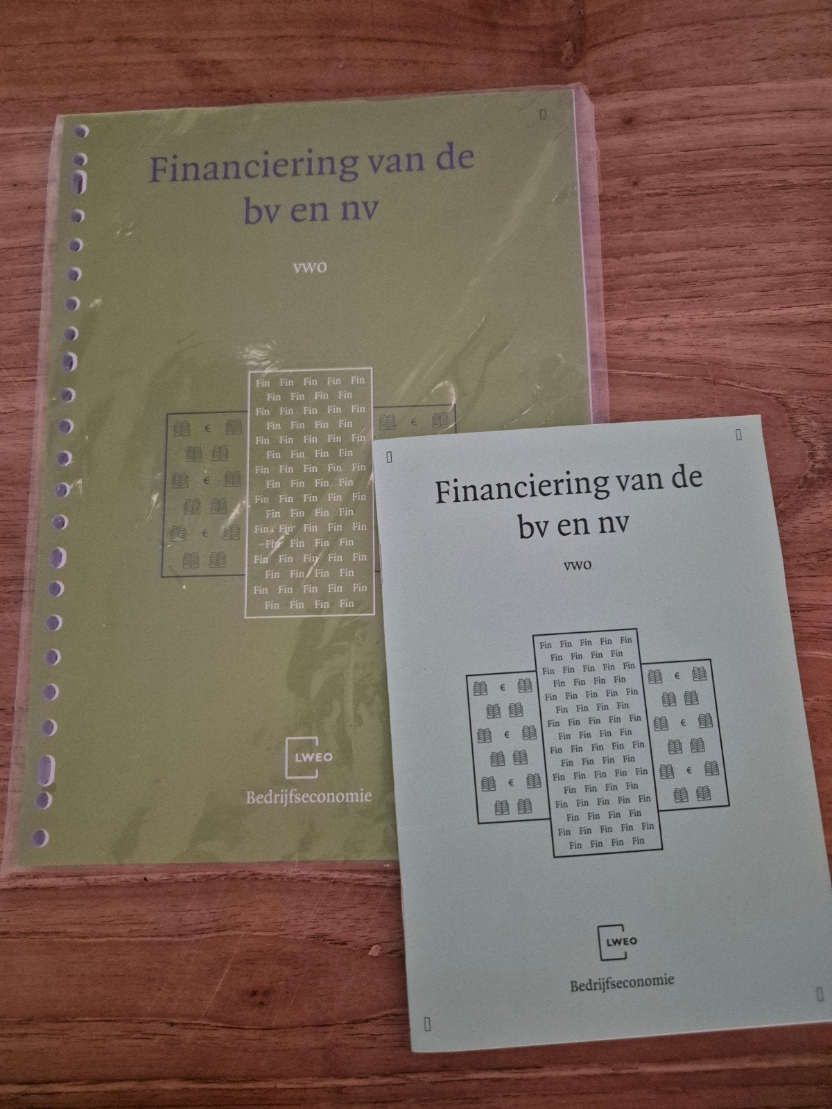Financiering van de bv en nv VWO Bedrijfseconomie, Ophalen of Verzenden, Beta, Nieuw