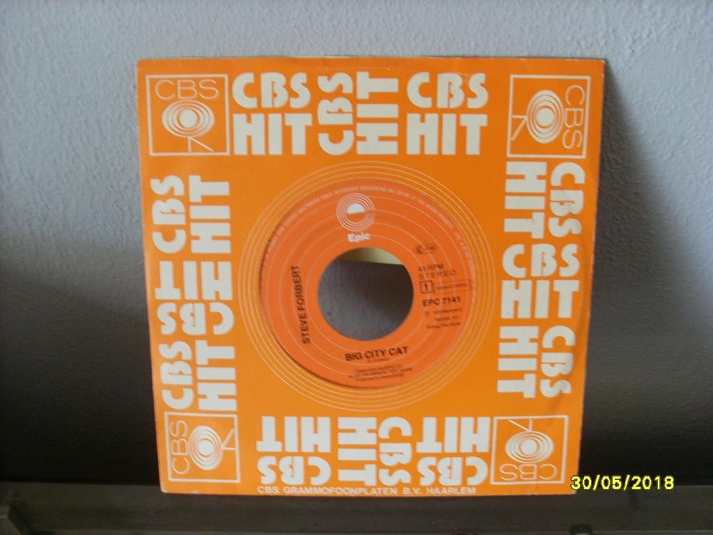 Steve Forbert - Big City Cat / Settle Down ---2112, Originele persing, Verzenden, Gebruikt, Pop