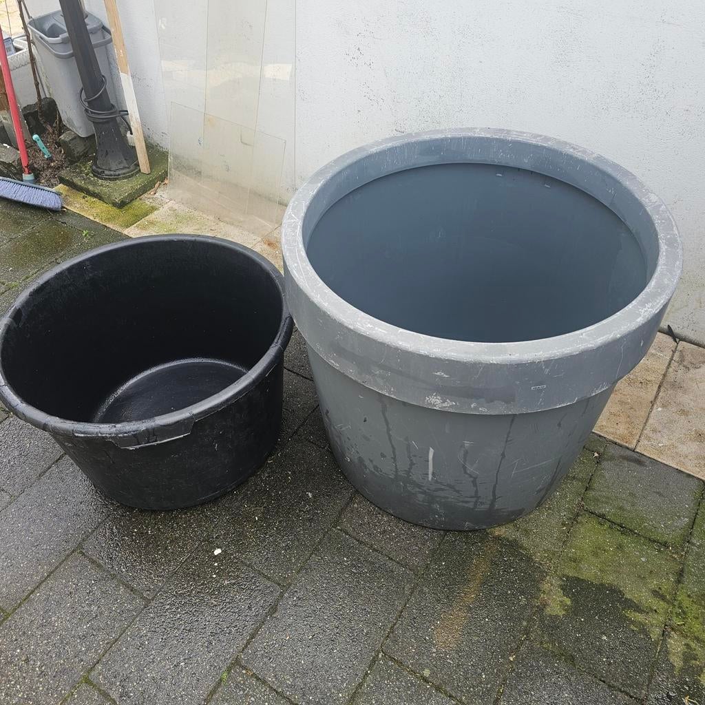 Ik heb twee vijvers in mijn tuin voor vissen., Ophalen