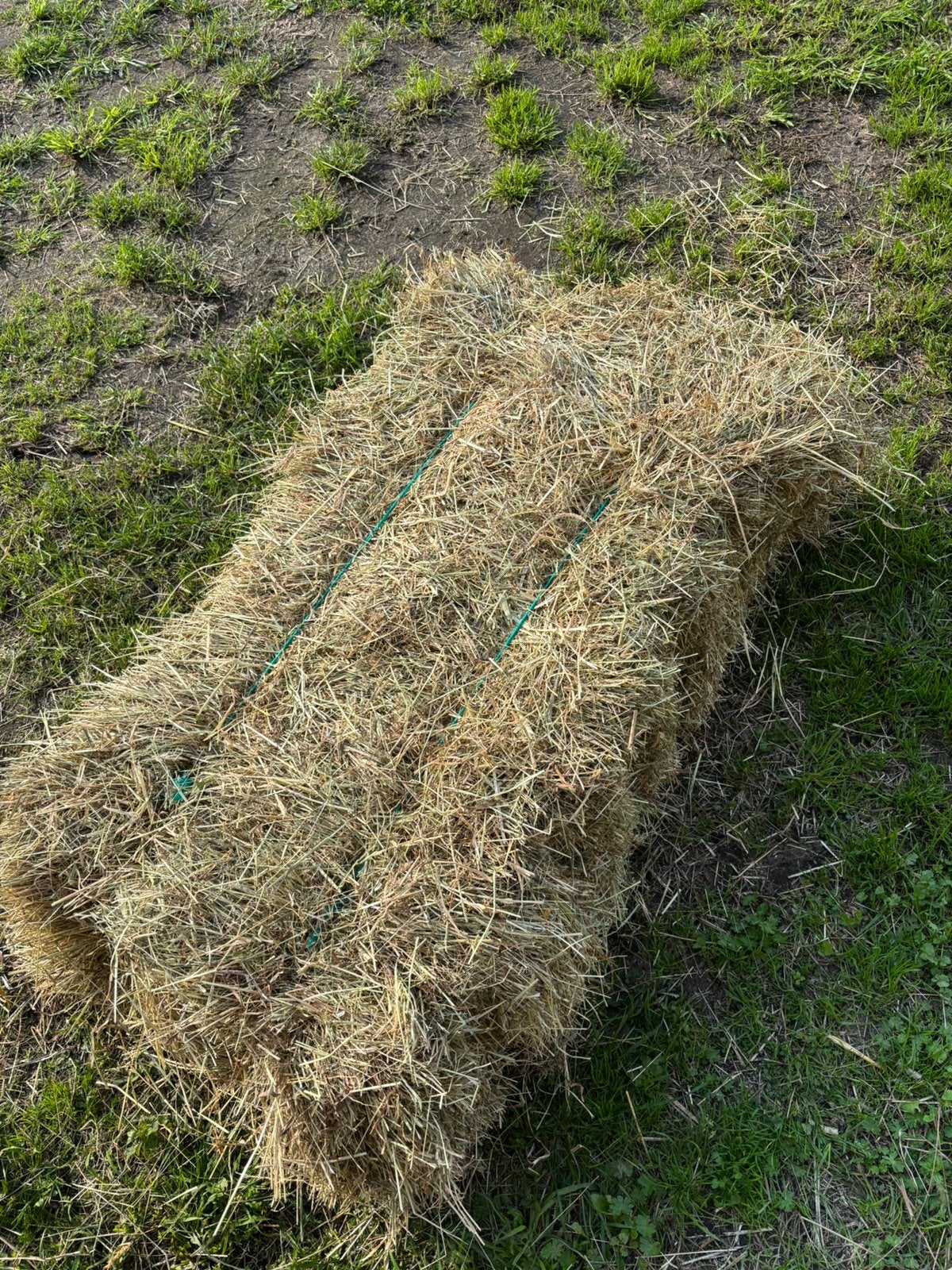 hooi, Dieren en Toebehoren, Ophalen, Vee