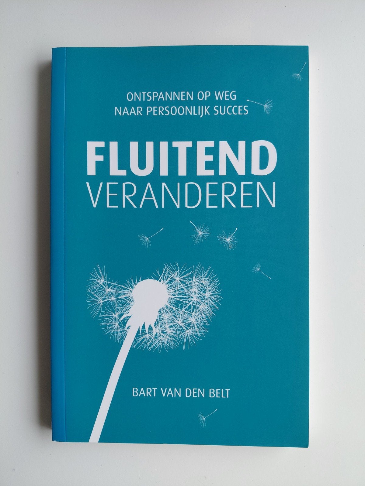 Bart van den Belt - Fluitend veranderen, Sociale wetenschap, Ophalen of Verzenden, Zo goed als nieuw, Bart van den Belt