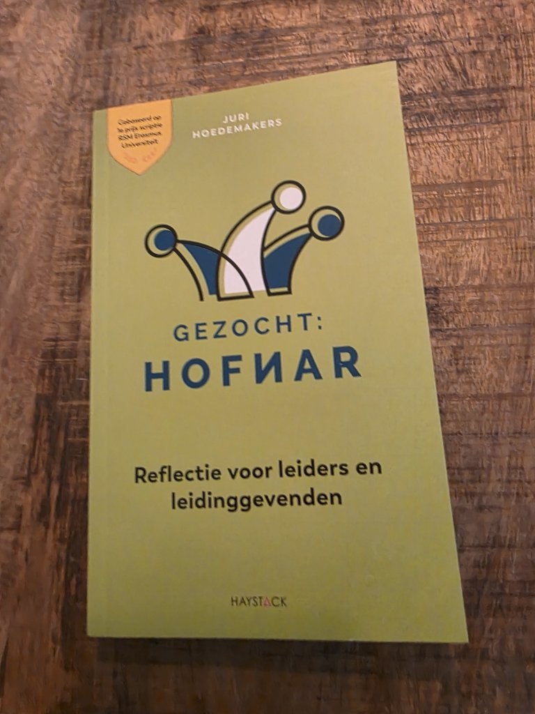 Boek: Gezocht: Hofnar, Boeken, Ophalen of Verzenden, Nieuw, Juri Hoedemakers