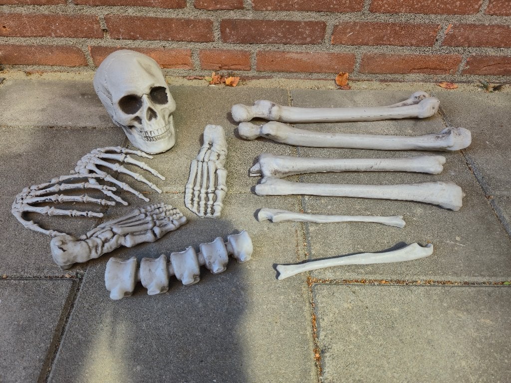 Verschillende Halloween decoratie, Ophalen of Verzenden, Zo goed als nieuw, Versiering, Halloween of Griezel