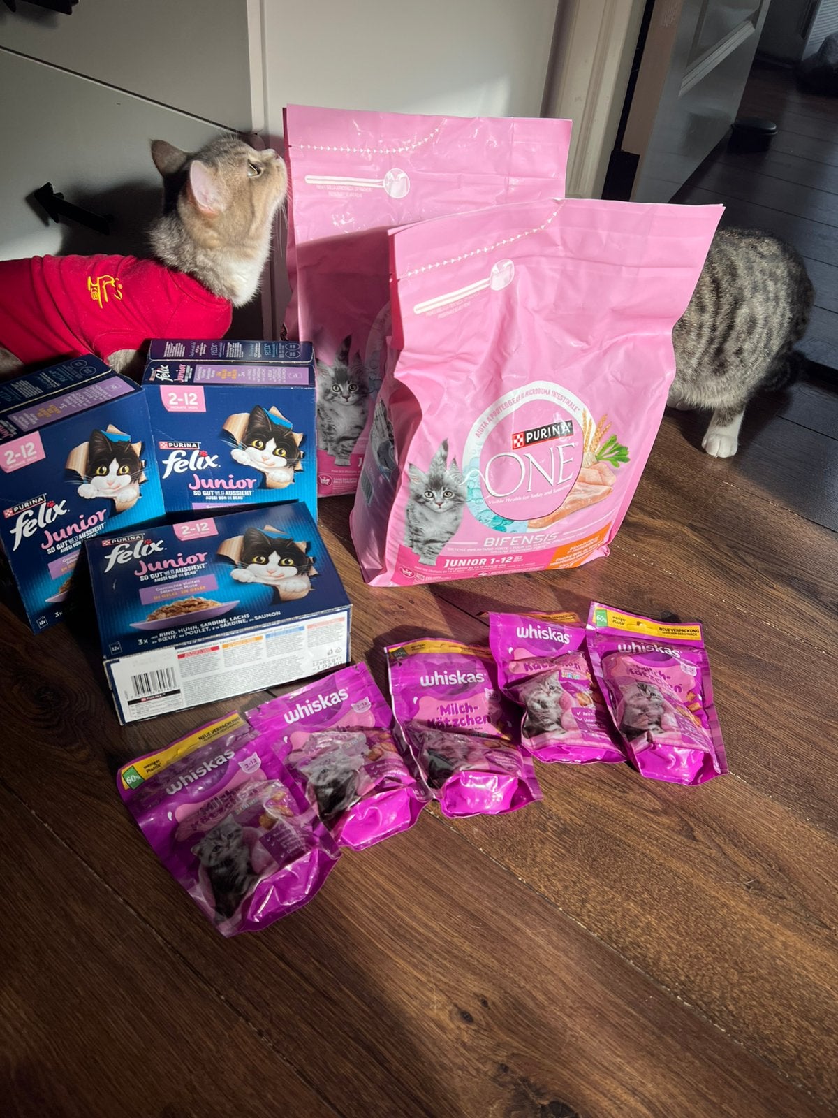 Kittenvoer pakket, droogvoer, natvoer & snacks, bespaar €30!, Ophalen of Verzenden, Kat
