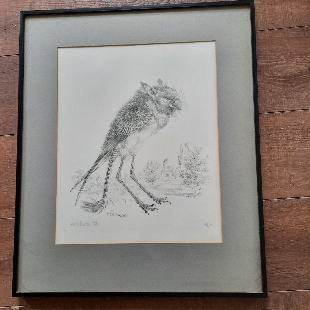 gesigneerde litho Van Peter Vos mus plumatis 1973 vleermuis, Ophalen, Lithografie