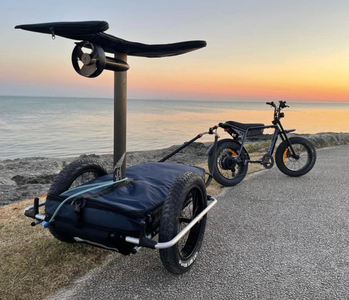 Reacha Sport Beach Fietskar met brede banden voor watersport, Ophalen, Gebruikt, Overige merken