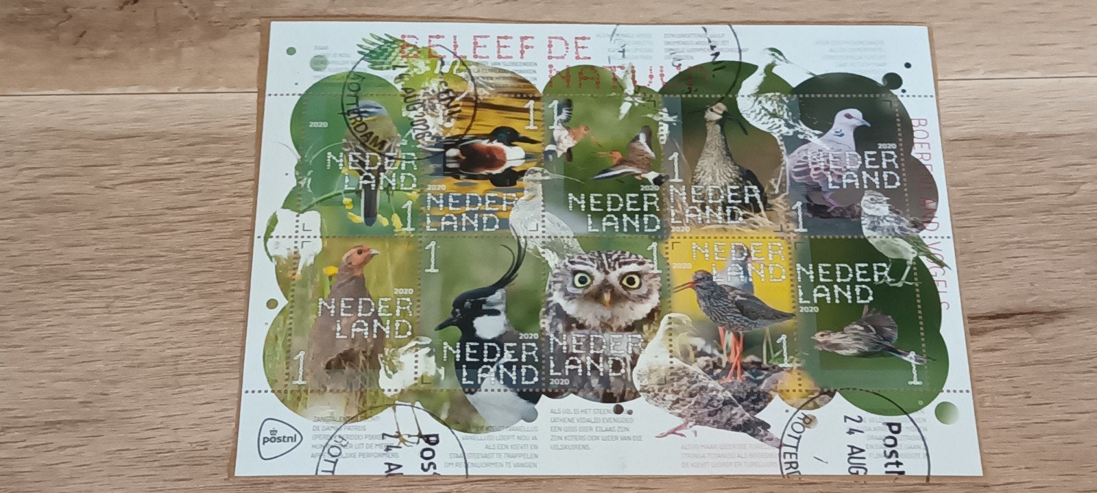 PRACHTIG VELLETJE BELEEF DE NATUUR GESTEMPELD OP PAPIER, Ophalen of Verzenden