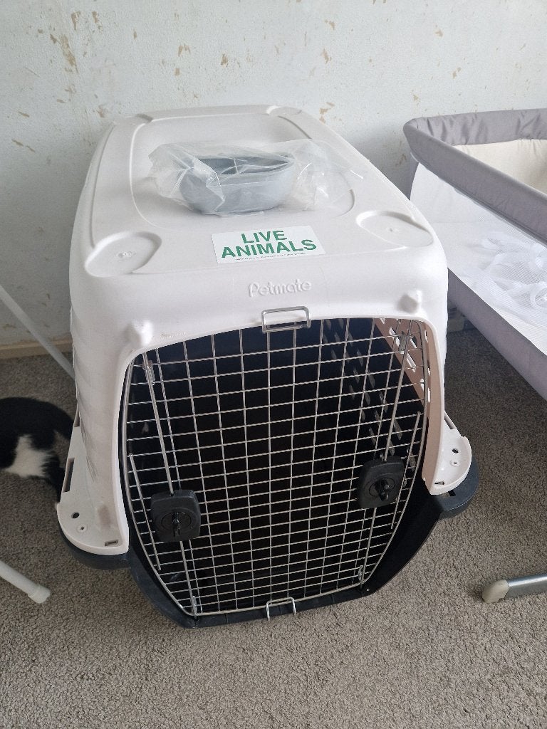 Petmate grote honden transportbox / vliegtuigkennel, Dieren en Toebehoren, Ophalen, Gebruikt