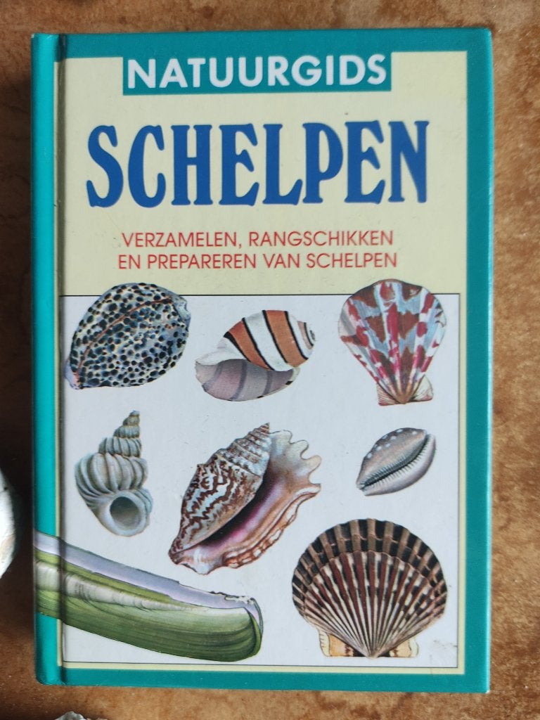 Schelpen, koraal? + 2 verzamelbakken voor collecties o.i.d., Verzamelen, Ophalen of Verzenden, Schelp(en)