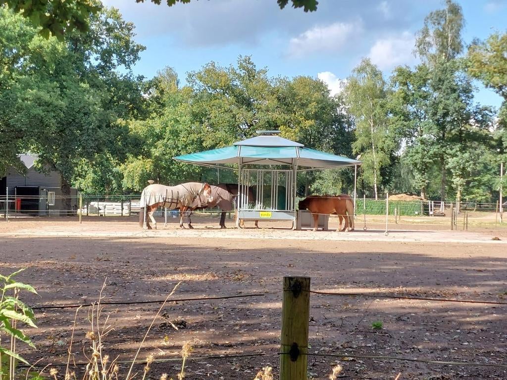 Stalling strak aan het bos, Weidegang