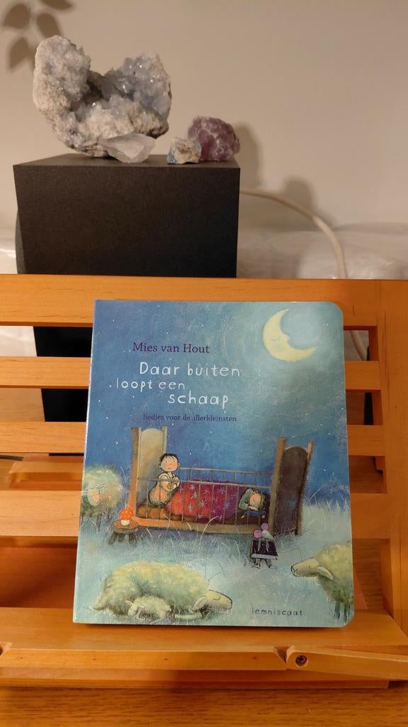 Mies van Hout - Daar buiten loopt een schaap, Boeken, Mies van Hout, Ophalen of Verzenden, Uitklap-, Voel- of Ontdekboek, 0 tot 6 maanden