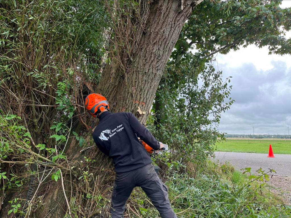 Boomverzorging/ bomen kappen of snoeien, Diensten en Vakmensen, Tuinmannen en Stratenmakers, Garantie, Tuinonderhoud of Snoeiwerk