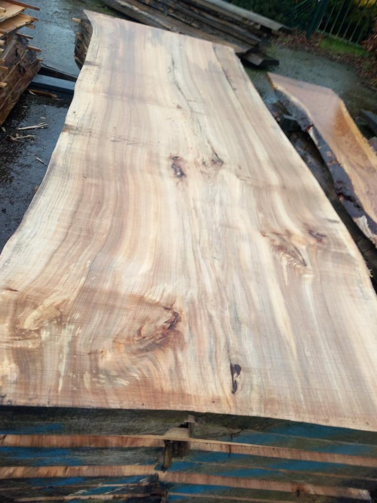 Boomstamtafel Bladen/Planken - Unieke Decoratie, Ophalen of Verzenden