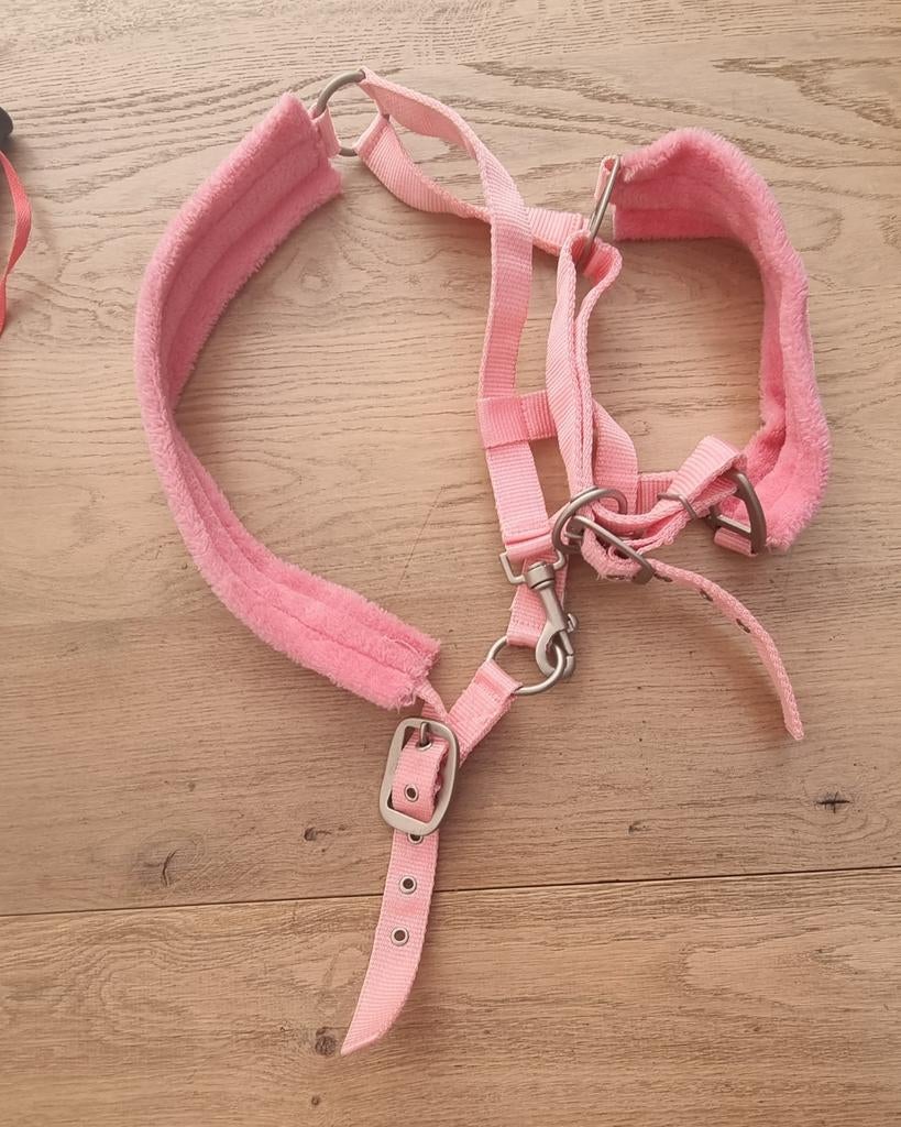Div paarden spullen Halster zweep borstel krabber, Dieren en Toebehoren, Paarden en Pony's | Overige Paardenspullen, Ophalen of Verzenden