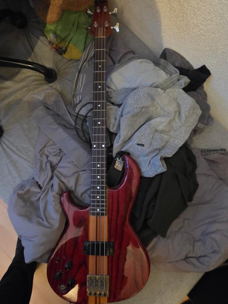 LEFTY Linkshandige Aria Pro II SB-1000 Basgitaar, Muziek en Instrumenten, Ophalen, Gebruikt, Elektrisch