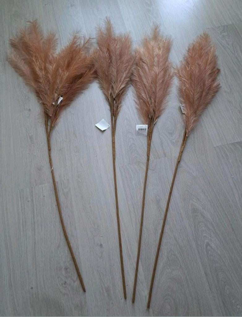 4x pluimen, Ophalen, Nieuw