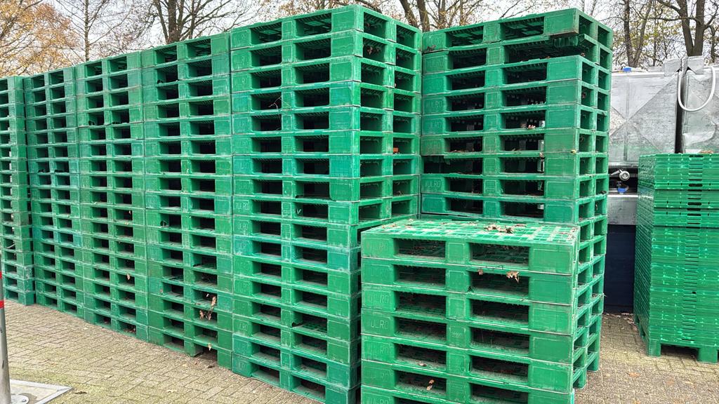 Plastic pallets 90 bij 120cm (houtpallets), Ophalen, 100 cm of meer, 60 cm of meer, Overige typen